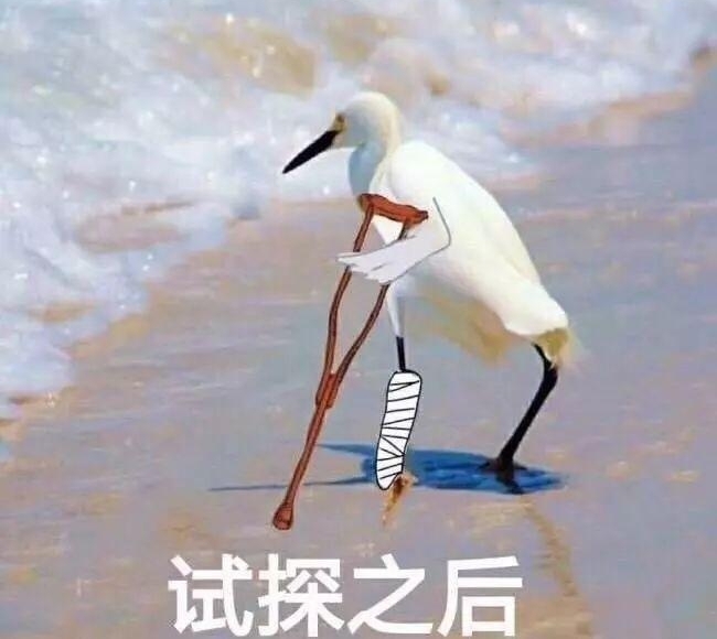 �Զ��������죬����ͷ�������ˣ�