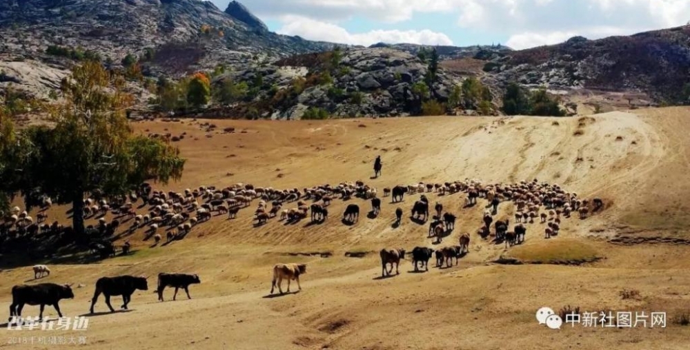 �ĸ￪������2018�ֻ���Ӱ�����������ܽ���¯��