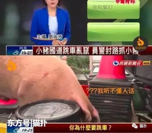 С����Ű쿨��Ů���ѣ�����7����Ȼ����������������������