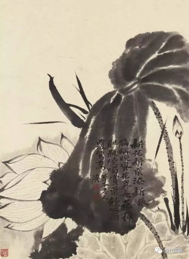 ʯ�α��µĻ�������