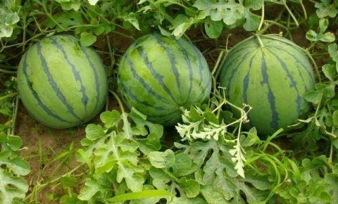 ���ӳ������Ϻ�ѹ�Ƥ������ǩ���˸����ӽ����� �ڶ����ջ��˾�ϲ