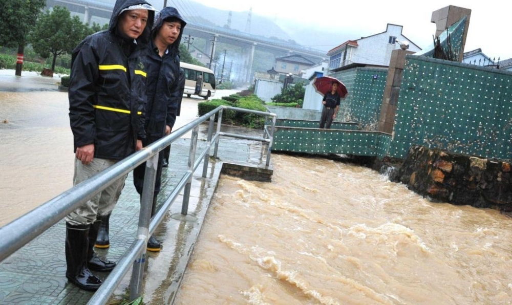 ȫʡ�������������ũ���ձ����ͣ�������ѴӦ������Ӧ