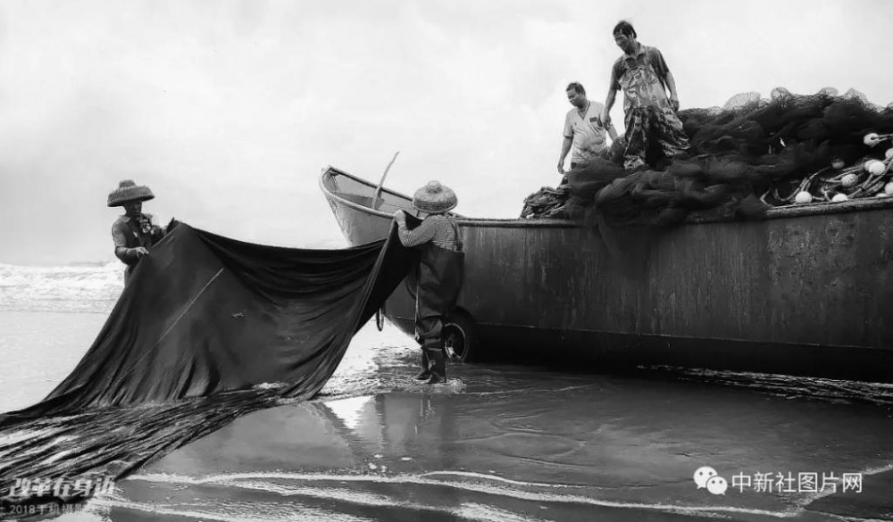 �ĸ￪������2018�ֻ���Ӱ�����������ܽ���¯��