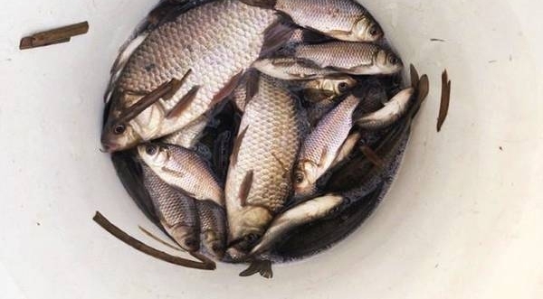 ������＾�������Ŀ�������ö��䷽������Ч�����ܺã�