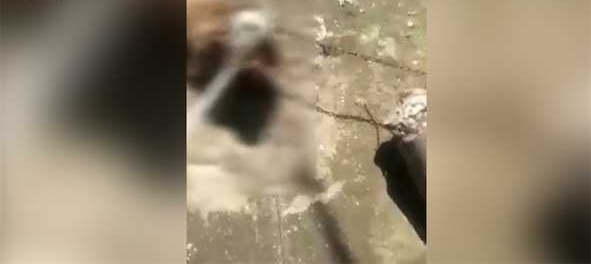 ���̣��Լ�̩��Ȯҧ��С�� �����ÿ�ǹ���ճͷ�