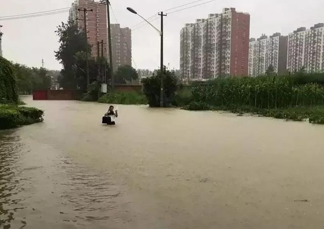 ��ȫ����ʦ��ѯ�ա���ʦ����Ӱ�Ӿ����ǰ�������