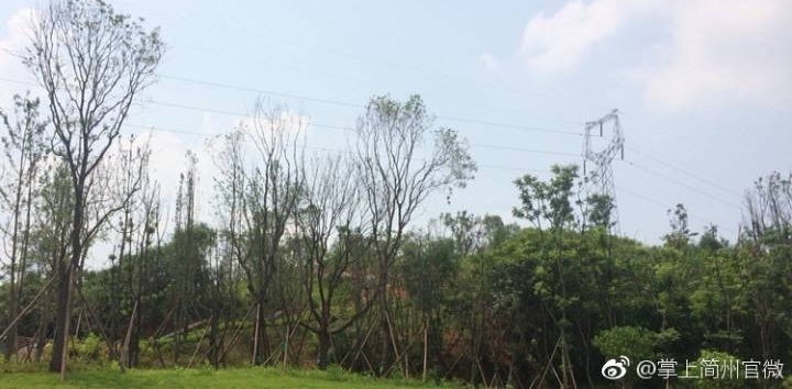 �����ҡ������³��˲Ź�԰�����ʵ