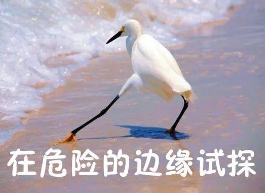 �Զ��������죬����ͷ�������ˣ�