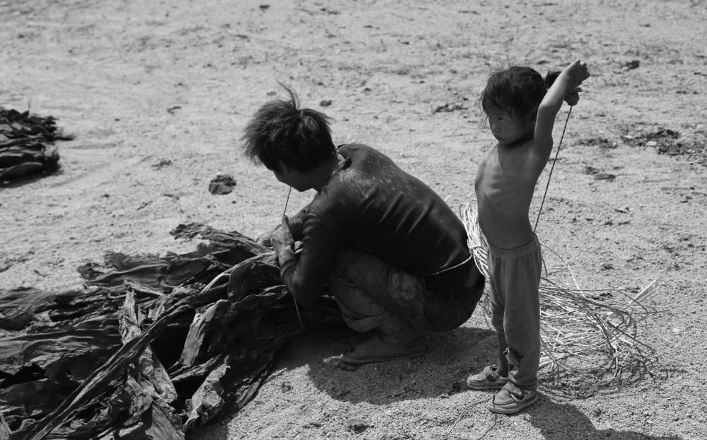 һȺ챻̫ɹĺӣĸȴ޿κ