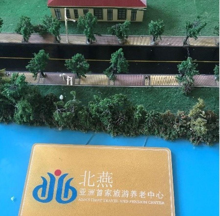 ������ʧ��Ƶ��ӷ����Ľ㡱��ץ ������29�ҹ�˾