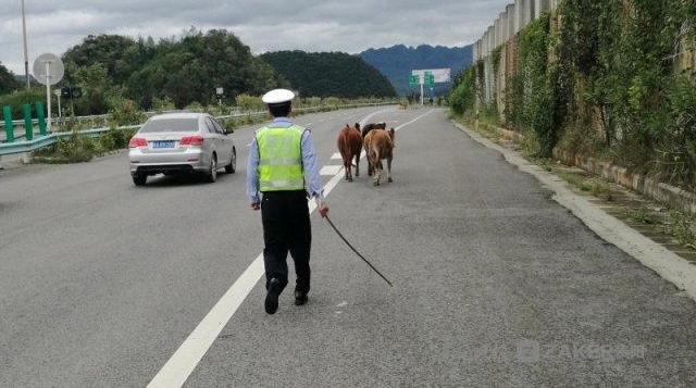 Σ�գ�ţȺ������ٹ�·ɢ�� �������� 5 ����Ž�������