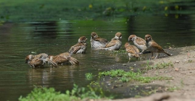 Թ٣ֻ˴һֻΪɶֻûܣŮǻش