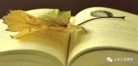 ���������ʽ������Ķ���������δ���߶ȣ�һ��Ҫ���ӣ�