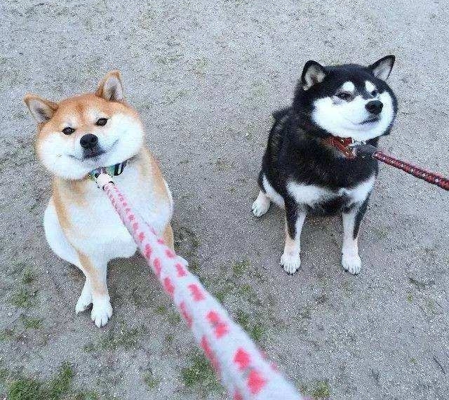 εƴƴ󹷣˾Ů˿һ·꣡