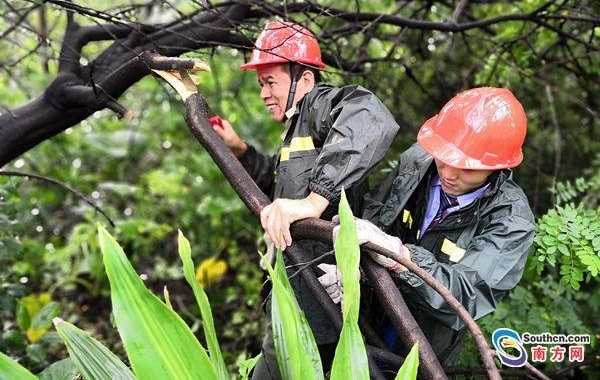 ̨�硰ɽ�񡱹ε�·�� ���������ҹ���ϻָ�ͨ��