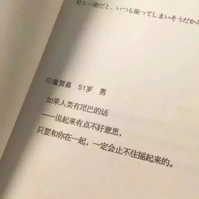 ϲ㡣
