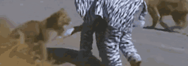 ӼٰܽҰ԰ ʨӰѡͷҧ