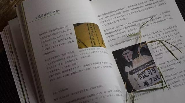 ����������˶ಿ�������Ļ�����������������Եд�¡����衷��