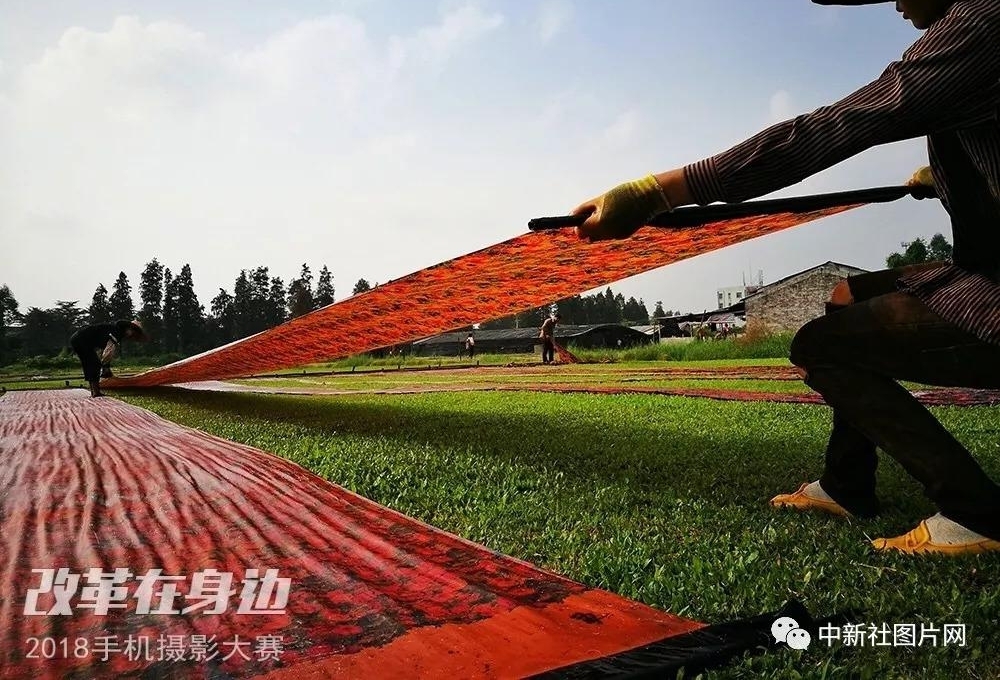 �ĸ￪������2018�ֻ���Ӱ�����������ܽ���¯��