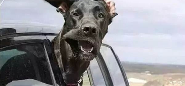 εƴƴ󹷣˾Ů˿һ·꣡