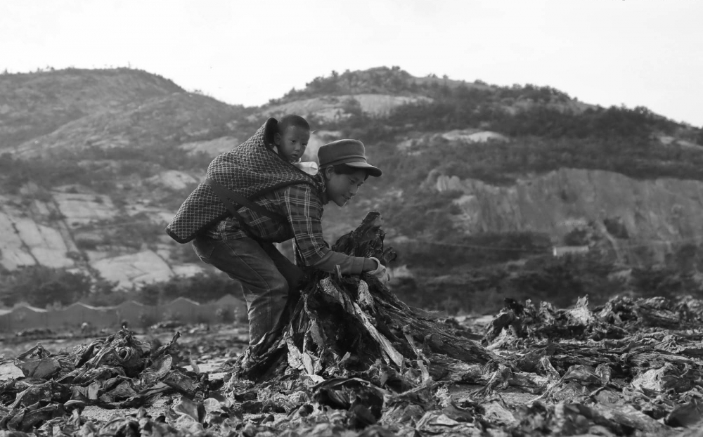 һȺ챻̫ɹĺӣĸȴ޿κ