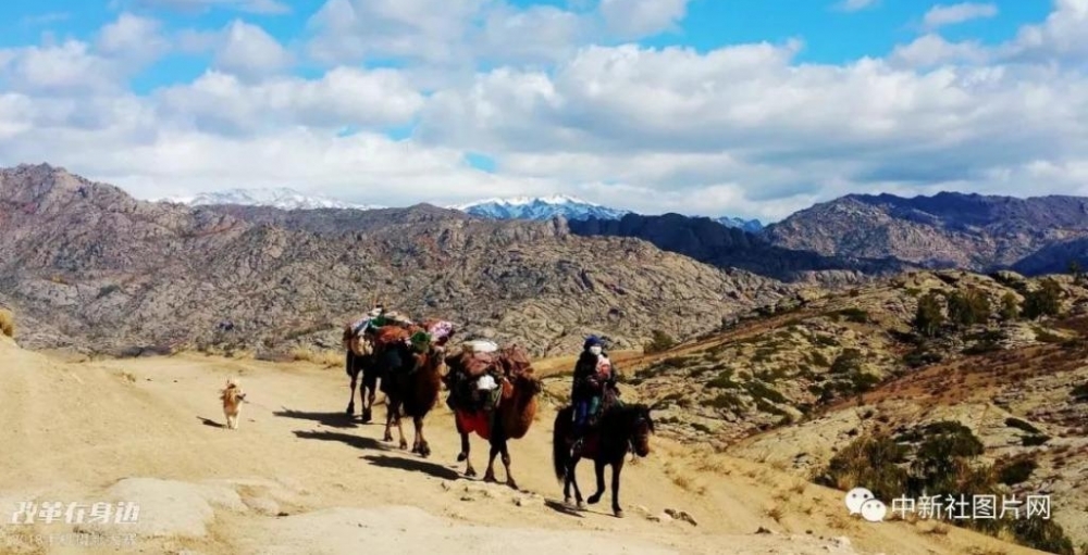 �ĸ￪������2018�ֻ���Ӱ�����������ܽ���¯��