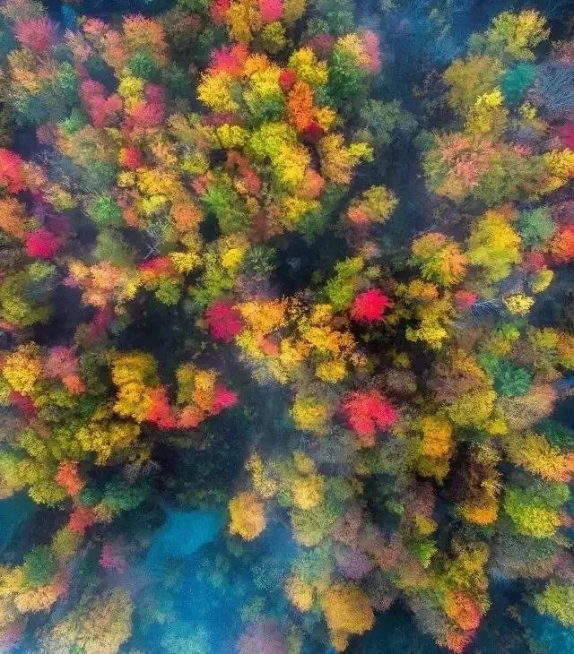 Ϊ������ں��㣬��ȴ���Ҷ�ȥ?