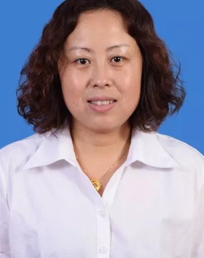 ����������������Ƿ��������е�ר��΢��ͶƱ��ʼ����