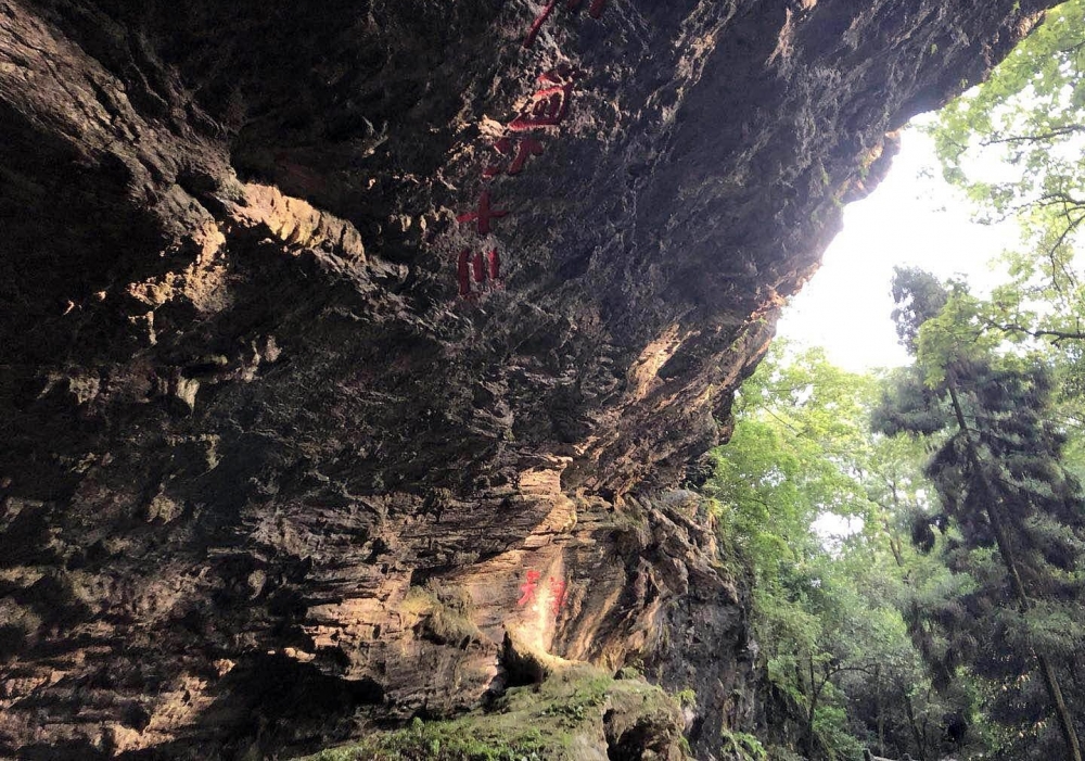 ��ʮ��������ɡ��󿧡���ı�����ֽ�˫����