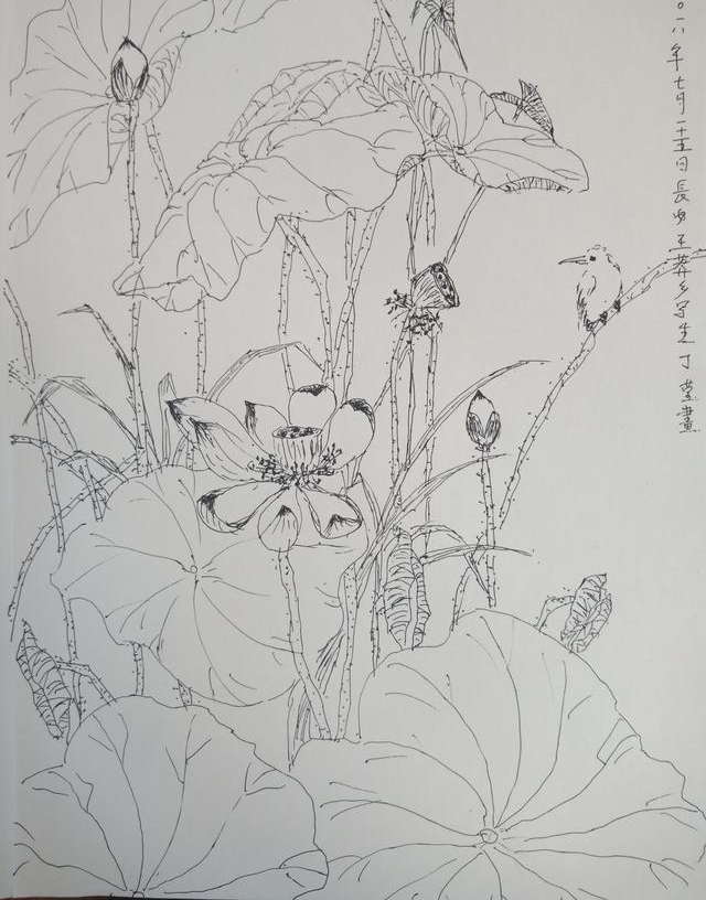 ��Ķ������ʮ�ﻨ��D�Dʡ��Э��ɽ��������Ů���Ҳɷ��ʵ