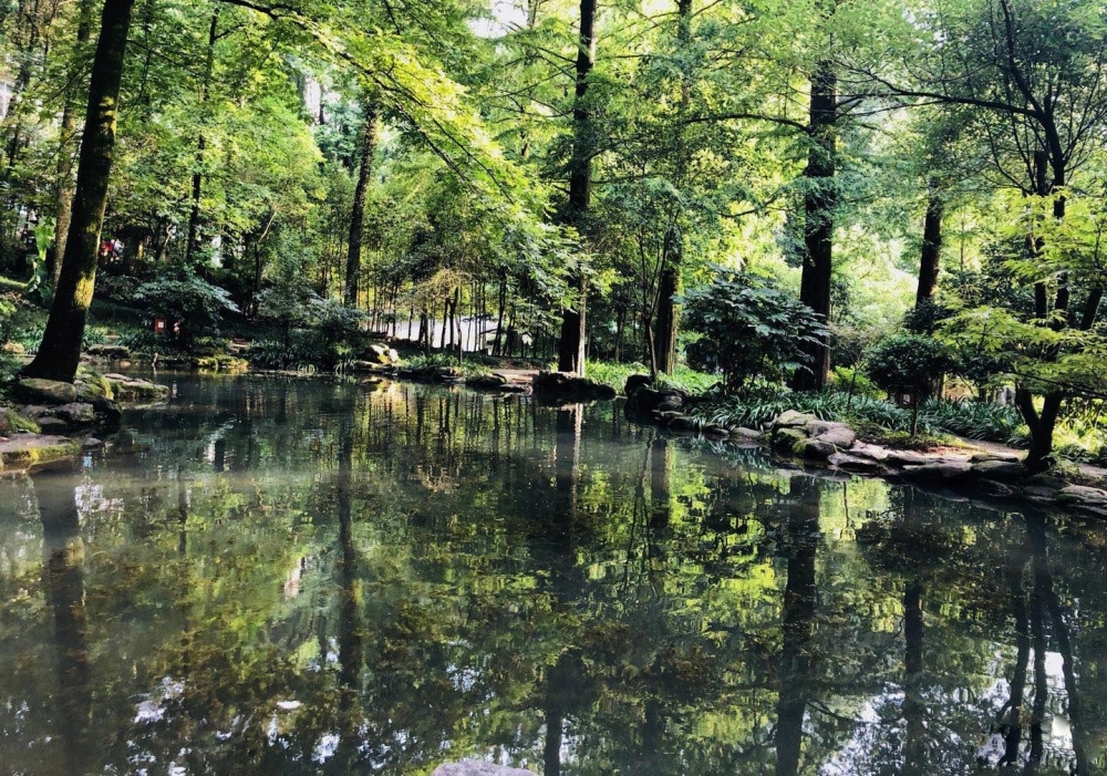 ��ʮ��������ɡ��󿧡���ı�����ֽ�˫����