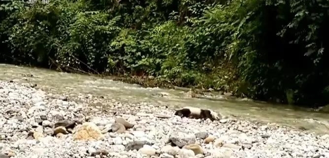 ۣè ʡΪʲôܶȦרش