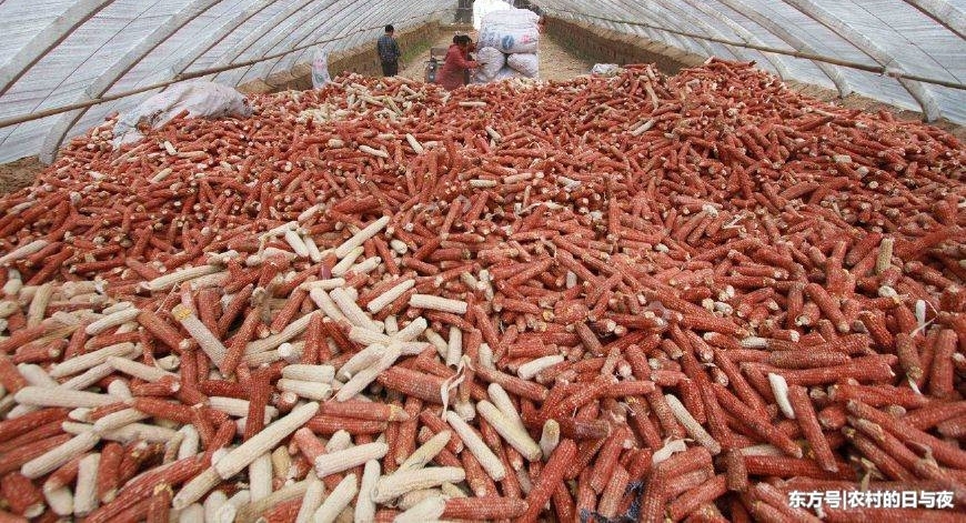 ũ�峣��������о���˿����ջ��������⣬���ɾ�������¸�·��