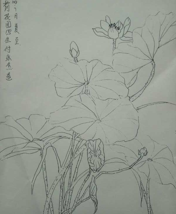 ��Ķ������ʮ�ﻨ��D�Dʡ��Э��ɽ��������Ů���Ҳɷ��ʵ