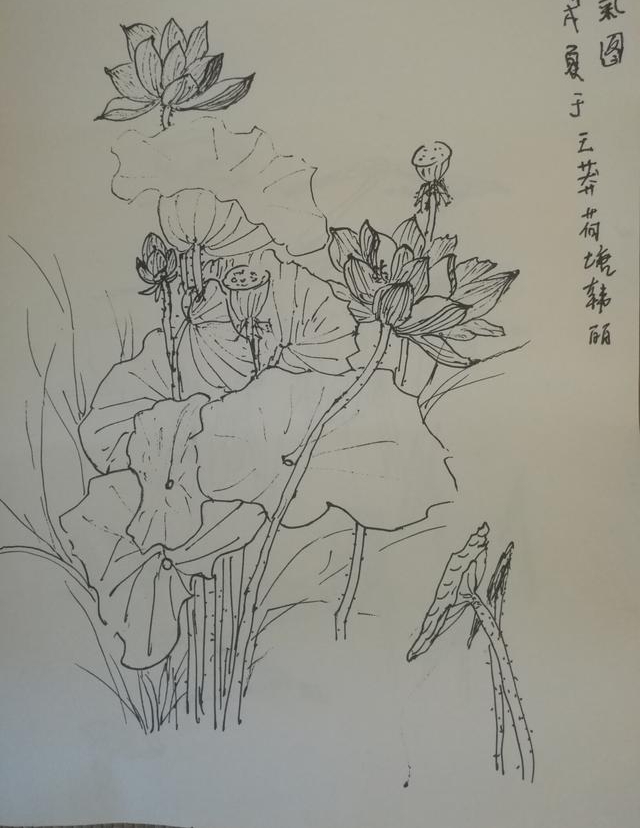 ��Ķ������ʮ�ﻨ��D�Dʡ��Э��ɽ��������Ů���Ҳɷ��ʵ