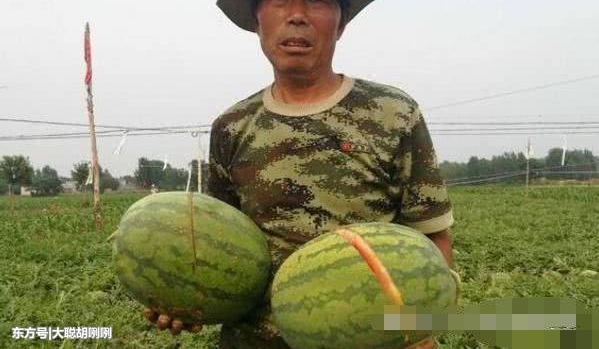 ��ũ���Լ�������͸�ˣ��߽�һ������ǰ���龰����һ�������˵���
