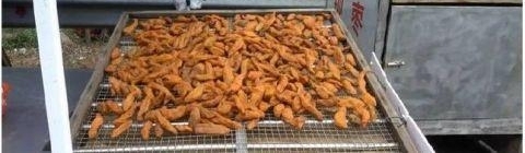 ��ү������������С�ԣ�18Ԫһ�ũ���˲�ϡ����������������