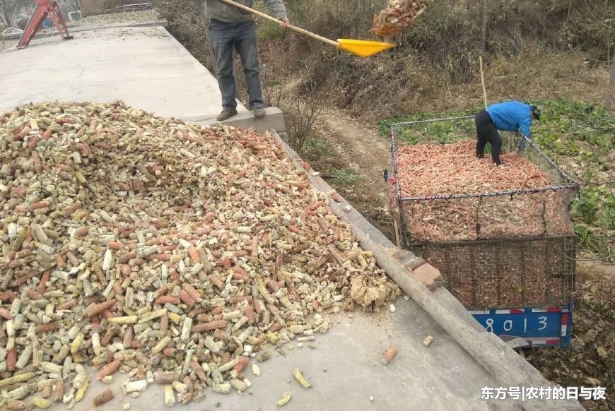 ũ�峣��������о���˿����ջ��������⣬���ɾ�������¸�·��