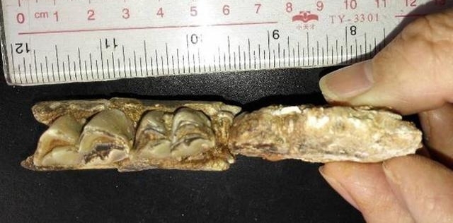 �ӹ����뵽�ϳ���ַ�������������������ַ���ϳ¾�ʯ����ַ��������