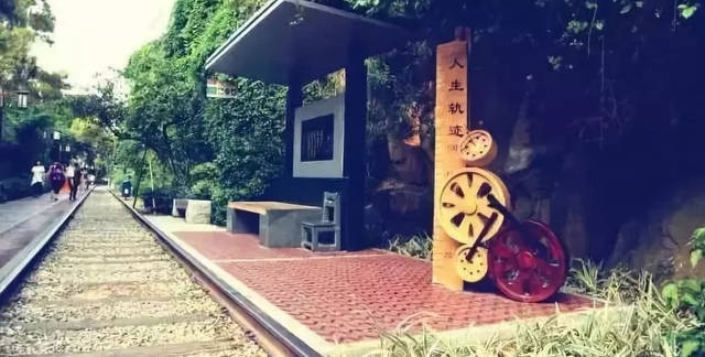 ���������ŵ���Ƚ������Ժ�ȥ�������ν��и��໨��������ѡ��