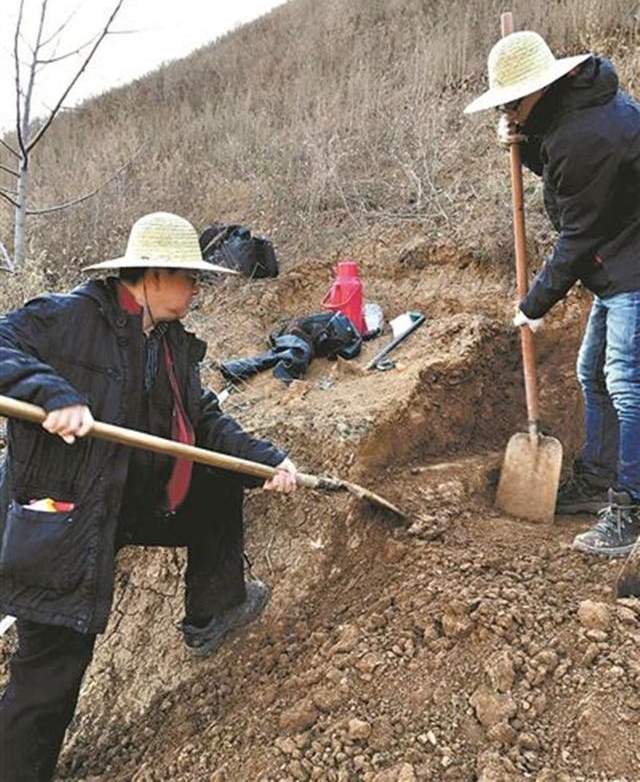 �ӹ����뵽�ϳ���ַ�������������������ַ���ϳ¾�ʯ����ַ��������