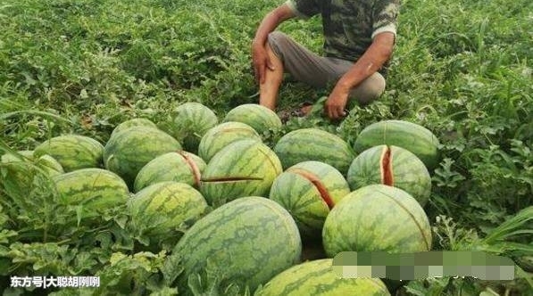 ��ũ���Լ�������͸�ˣ��߽�һ������ǰ���龰����һ�������˵���