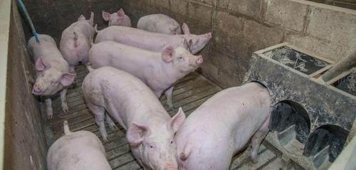 ΪʲôڵԽԽóˣѣԹũ