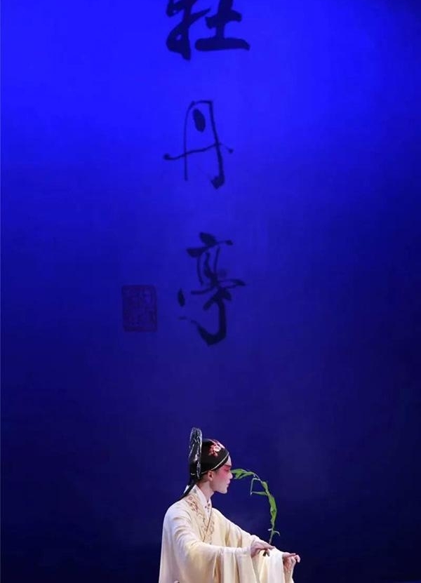 Ҷ��Өӭ��94���ٳ���������Я��ĵ��ͤ���Ͽ�ף��