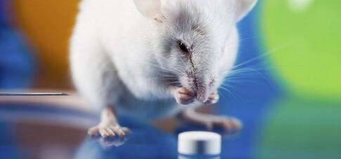 ����ʼ�������������� 4λ�����������彲������Ĳ�����Ӧ