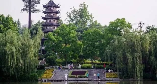 ���������ŵ���Ƚ������Ժ�ȥ�������ν��и��໨��������ѡ��