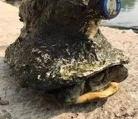 ���ӵ���񵽹�������ƿ���������������������ˣ�ֱ���ó��˵���