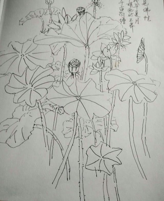 ��Ķ������ʮ�ﻨ��D�Dʡ��Э��ɽ��������Ů���Ҳɷ��ʵ