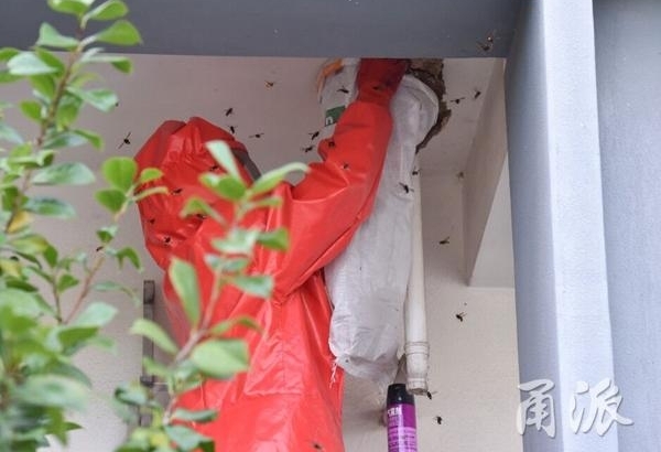 ��������һ������������32���������õ�����취����