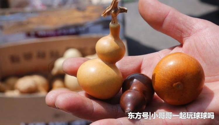 ���д���ũϡ��������أ���һ����ͷ����������ϡ�����ֶ���Υ��